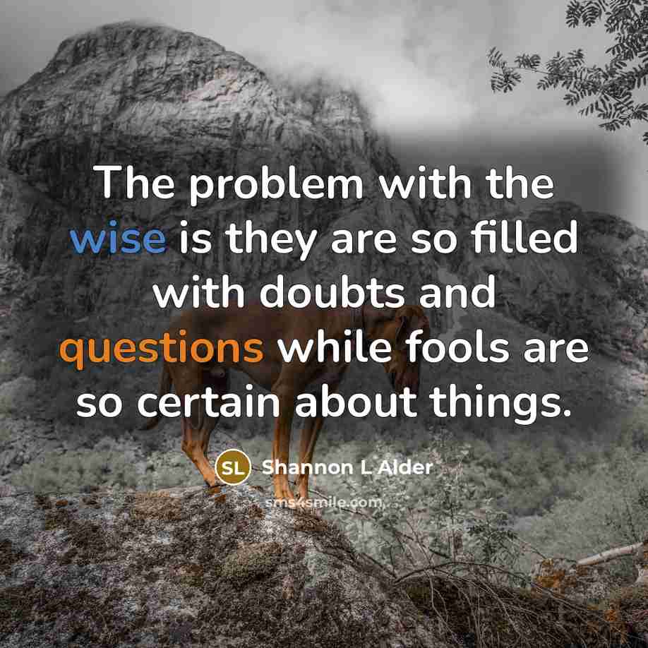 “The problem with the wise is they are so filled with doubts and questions while fools are so certain about things.” quote by Shannon L Alder