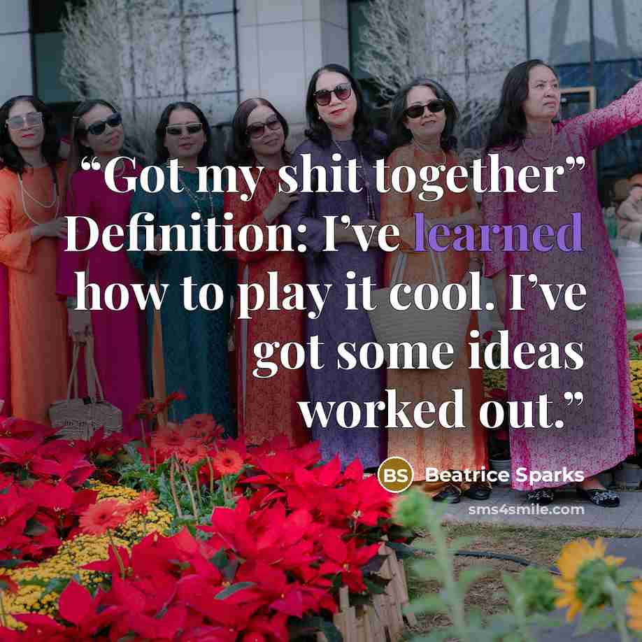 “Got my shit together” Definition: I’ve learned how to play it cool. I’ve got some ideas worked out.” quote by Beatrice Sparks