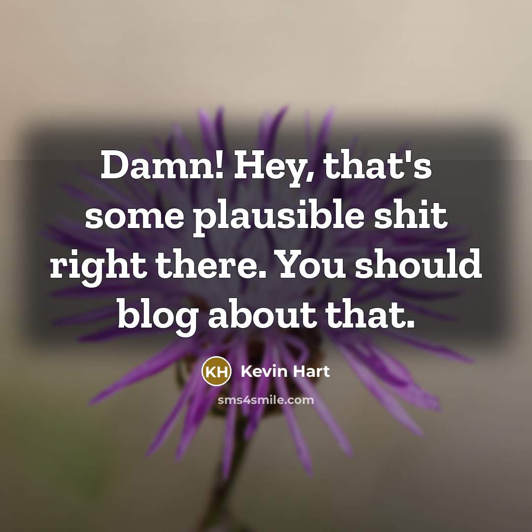 “Damn! Hey, that's some plausible shit right there. You should blog about that.” quote by Kevin Hart