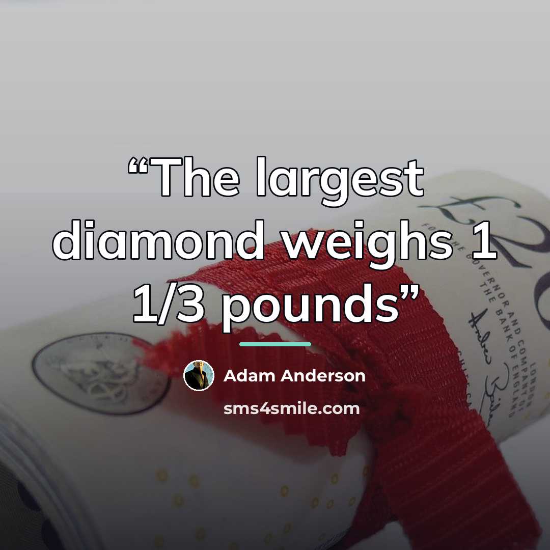 “The largest diamond weighs 1 1/3 pounds” quote by Adam Anderson