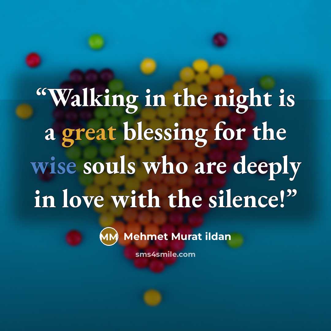“Walking in the night is a great blessing for the wise souls who are deeply in love with the silence!” quote by Mehmet Murat ildan