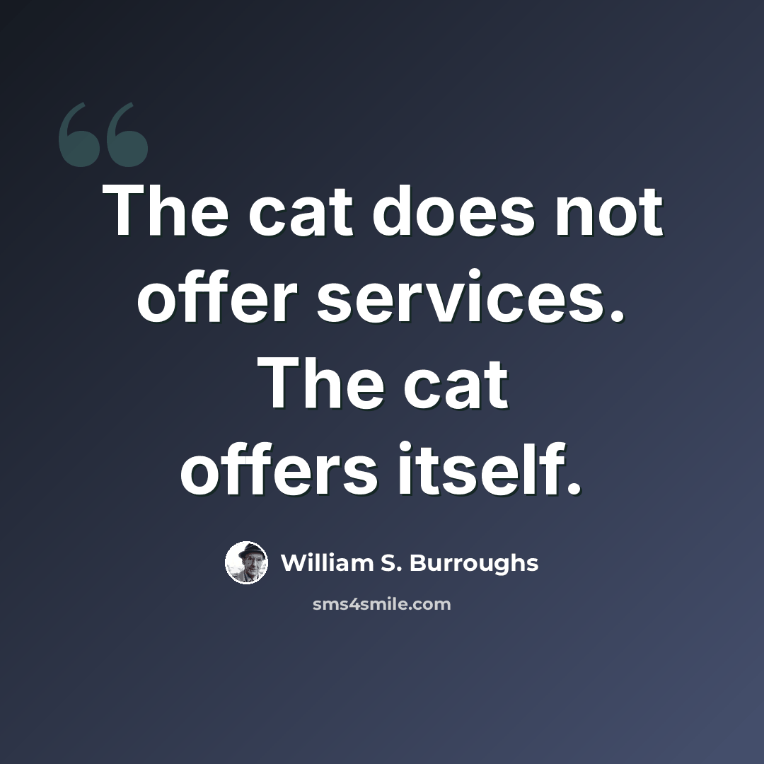 “The cat does not offer services. The cat offers itself.” quote by William S. Burroughs