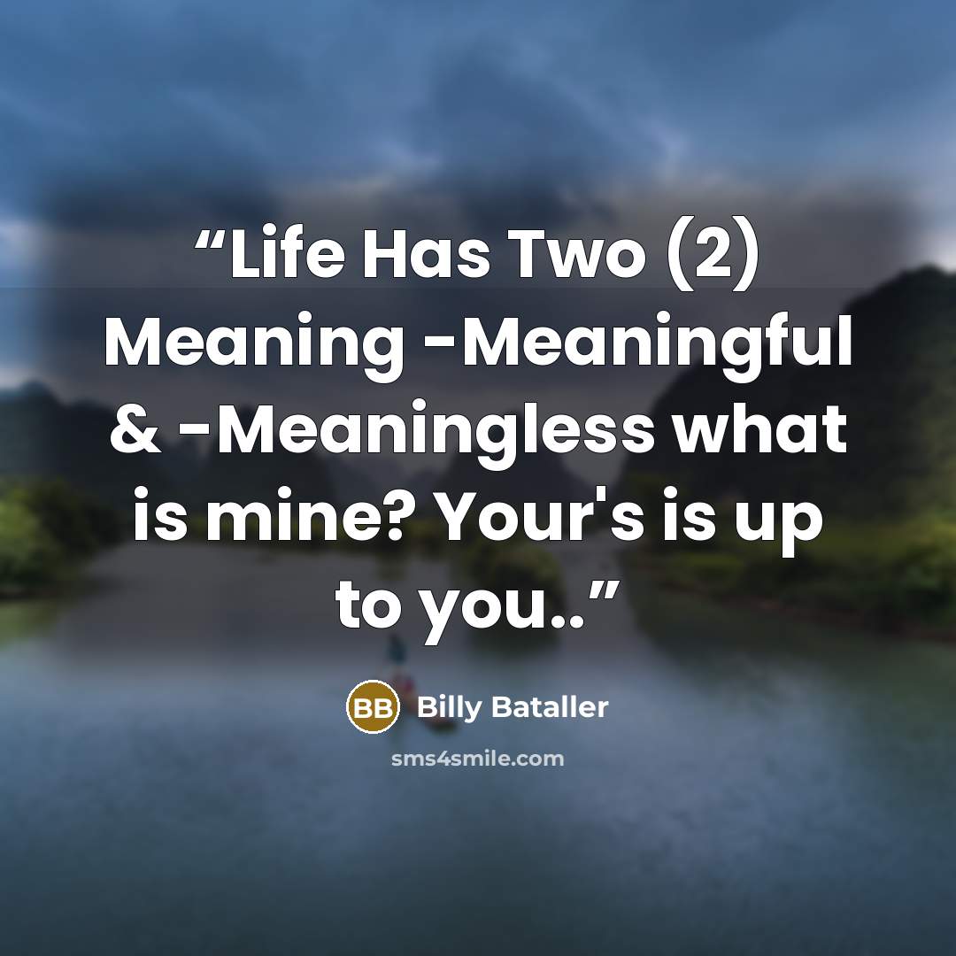 “Life Has Two (2) Meaning -Meaningful & -Meaningless what is mine? Your's is up to you..” quote by Billy Bataller