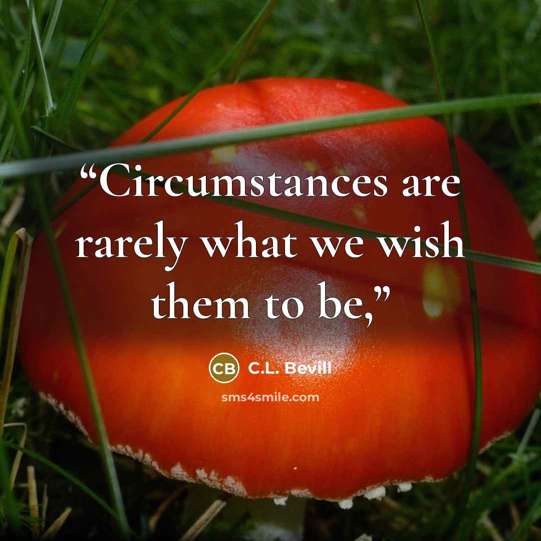 “Circumstances are rarely what we wish them to be,” quote by C.L. Bevill