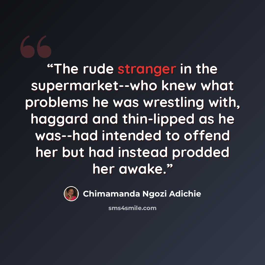 “The rude stranger in the supermarket--who knew what problems he was wrestling with, haggard and thin-lipped as he was--had intended to offend her but had instead prodded her awake.” quote by Chimamanda Ngozi Adichie