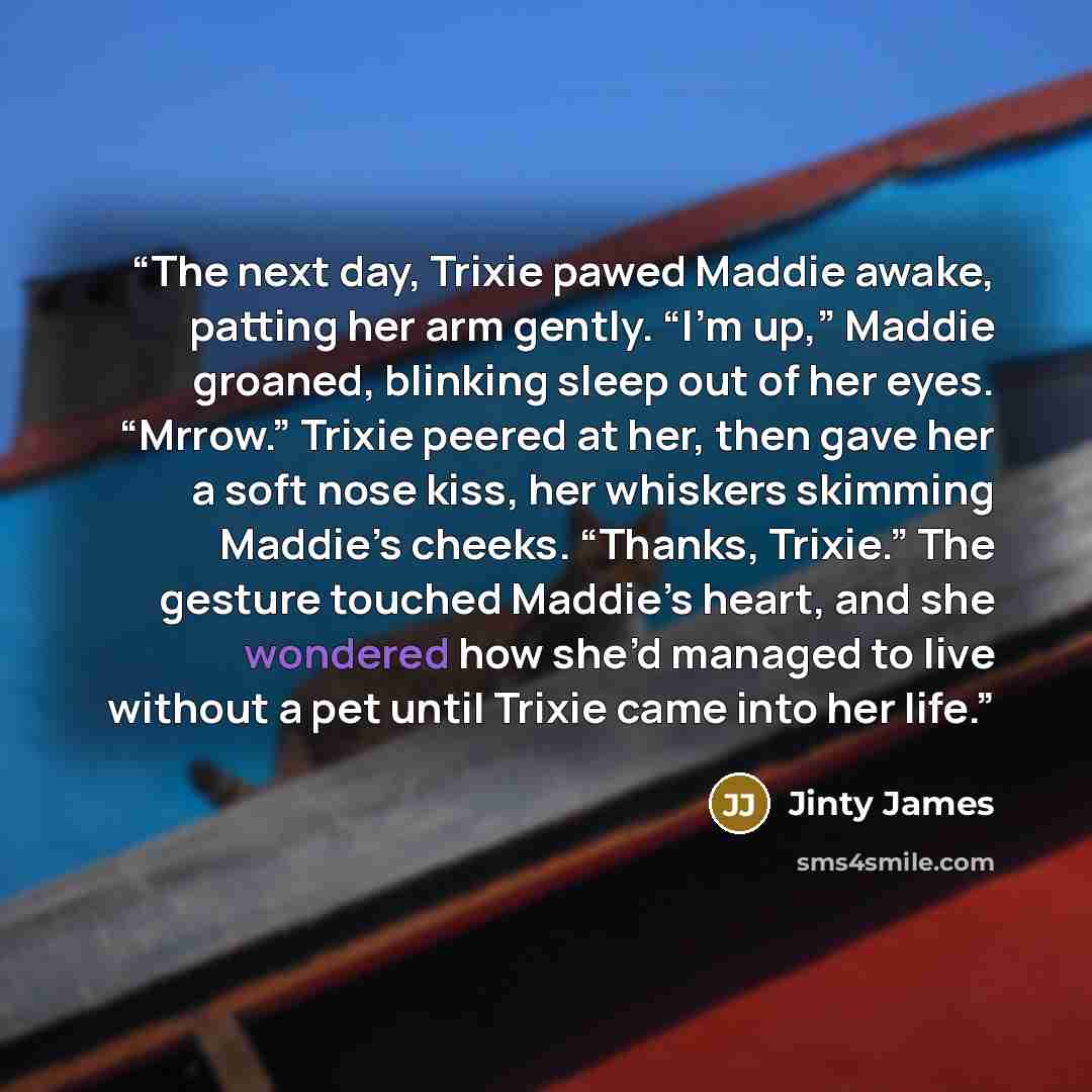 “The next day, Trixie pawed Maddie awake, patting her arm gently. “I’m up,” Maddie groaned, blinking sleep out of her eyes. “Mrrow.” Trixie peered at her, then gave her a soft nose kiss, her whiskers skimming Maddie’s cheeks. “Thanks, Trixie.” The gesture touched Maddie’s heart, and she wondered…” quote by Jinty James