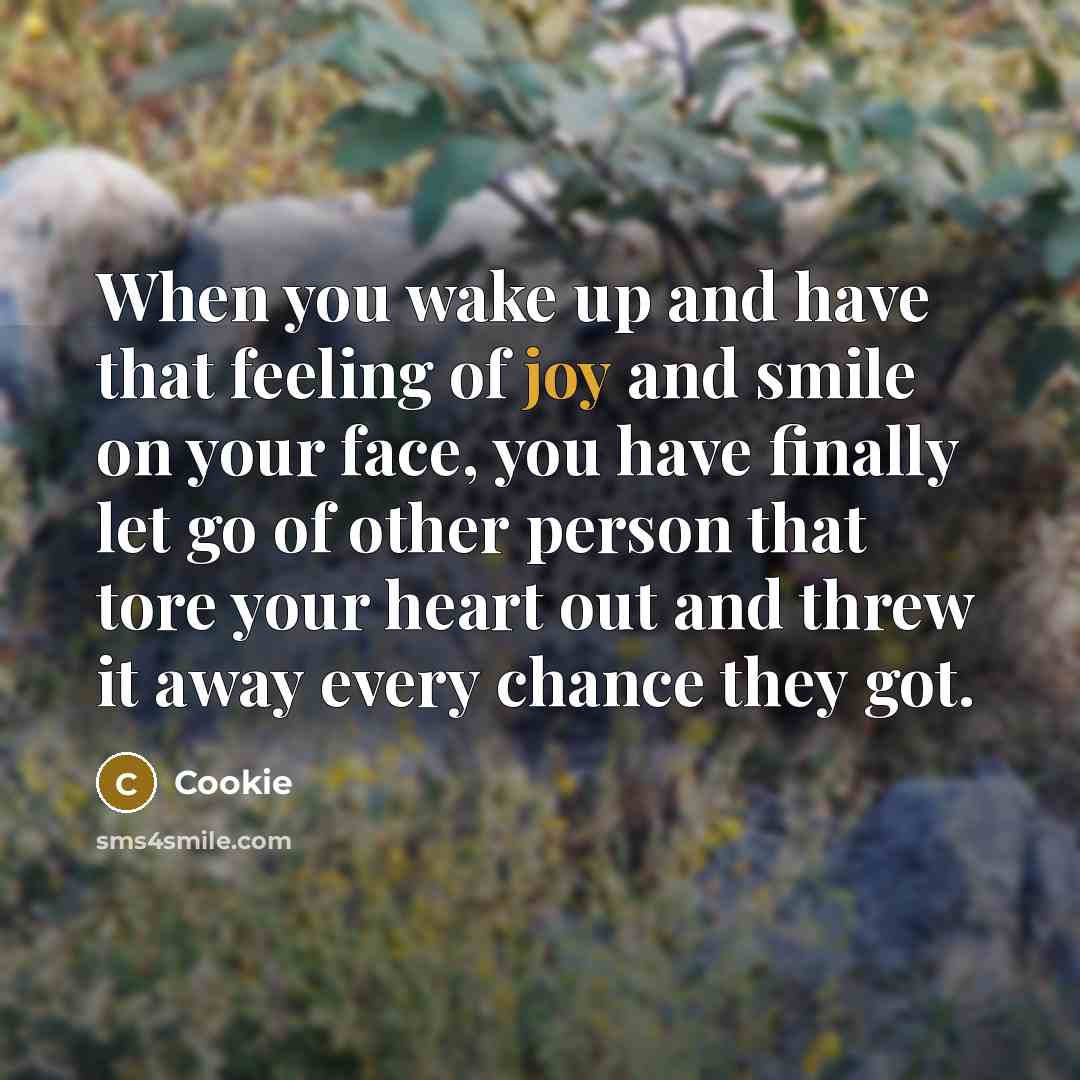 “When you wake up and have that feeling of joy and smile on your face, you have finally let go of other person that tore your heart out and threw it away every chance they got.” quote by Cookie