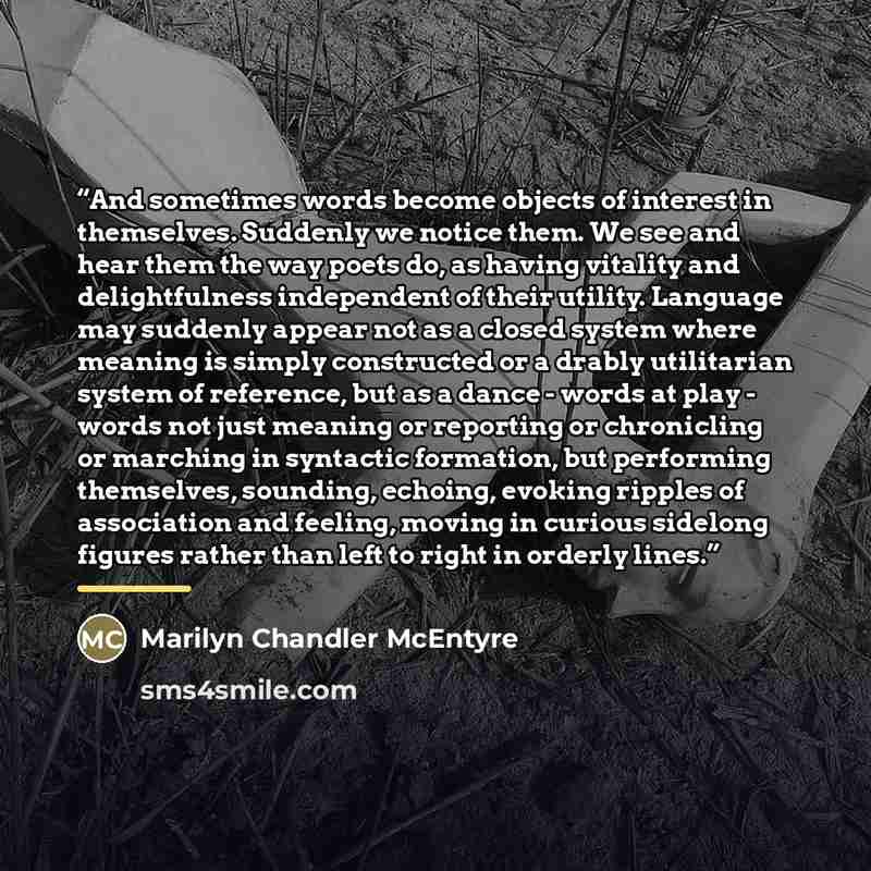 “And sometimes words become objects of interest in themselves. Suddenly we notice them. We see and hear them the way poets do, as having vitality and delightfulness independent of their utility. Language may suddenly appear not as a closed system where meaning is simply constructed or a drably…” quote by Marilyn Chandler McEntyre