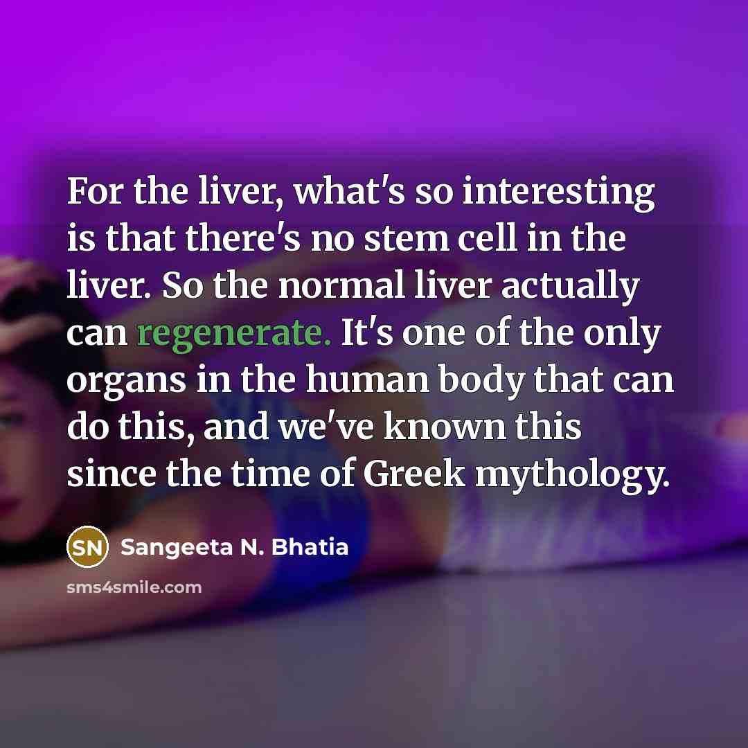 “For the liver, what's so interesting is that there's no stem cell in the liver. So the normal liver actually can regenerate. It's one of the only organs in the human body that can do this, and we've known this since the time of Greek mythology.” quote by Sangeeta N. Bhatia