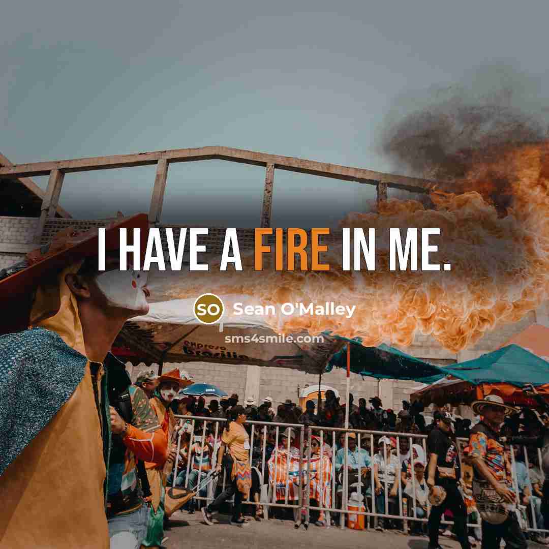 “I have a fire in me.” quote by Sean O'Malley