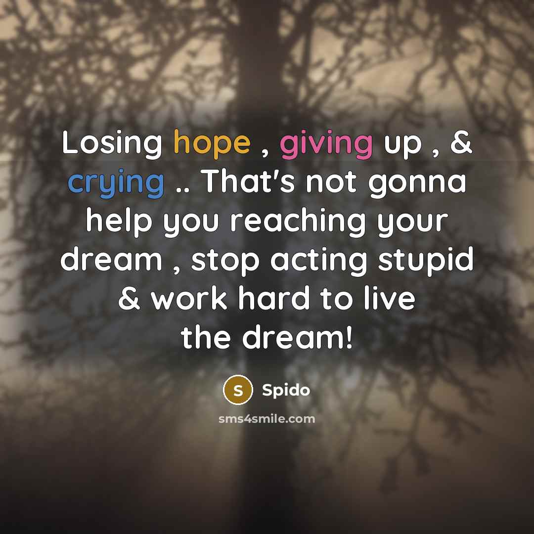 “Losing hope , giving up , & crying .. That's not gonna help you reaching your dream , stop acting stupid & work hard to live the dream!” quote by Spido