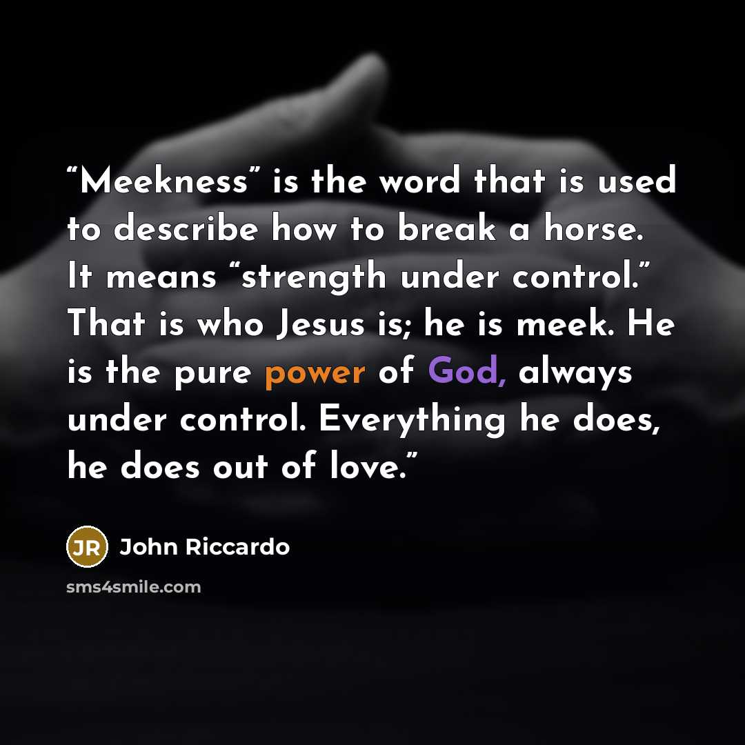 “Meekness” is the word that is used to describe how to break a horse. It means “strength under control.” That is who Jesus is; he is meek. He is the pure power of God, always under control. Everything he does, he does out of love.” quote by John Riccardo