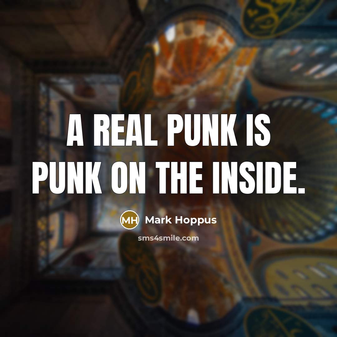“A real punk is punk on the inside.” quote by Mark Hoppus