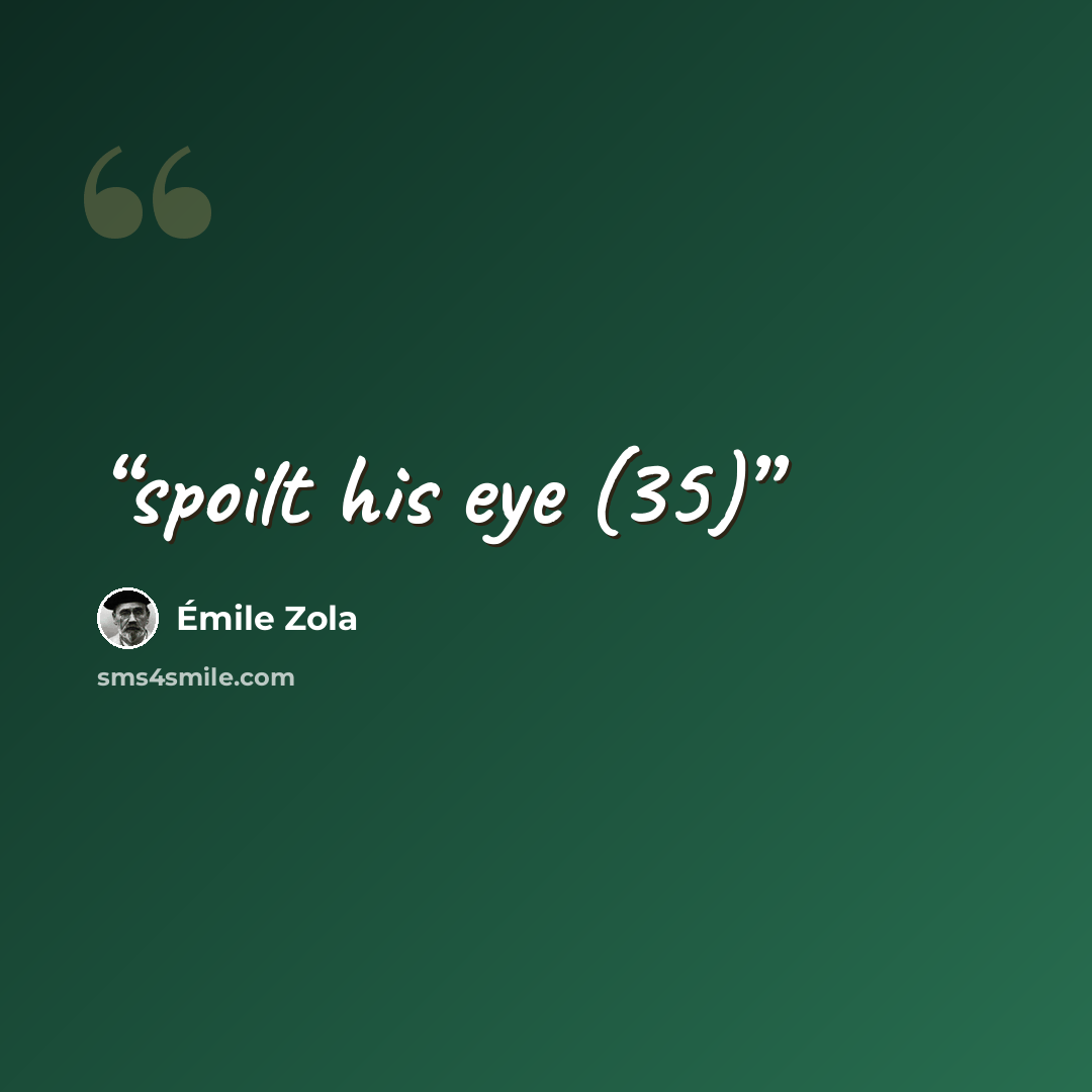 “spoilt his eye (35)” quote by Émile Zola