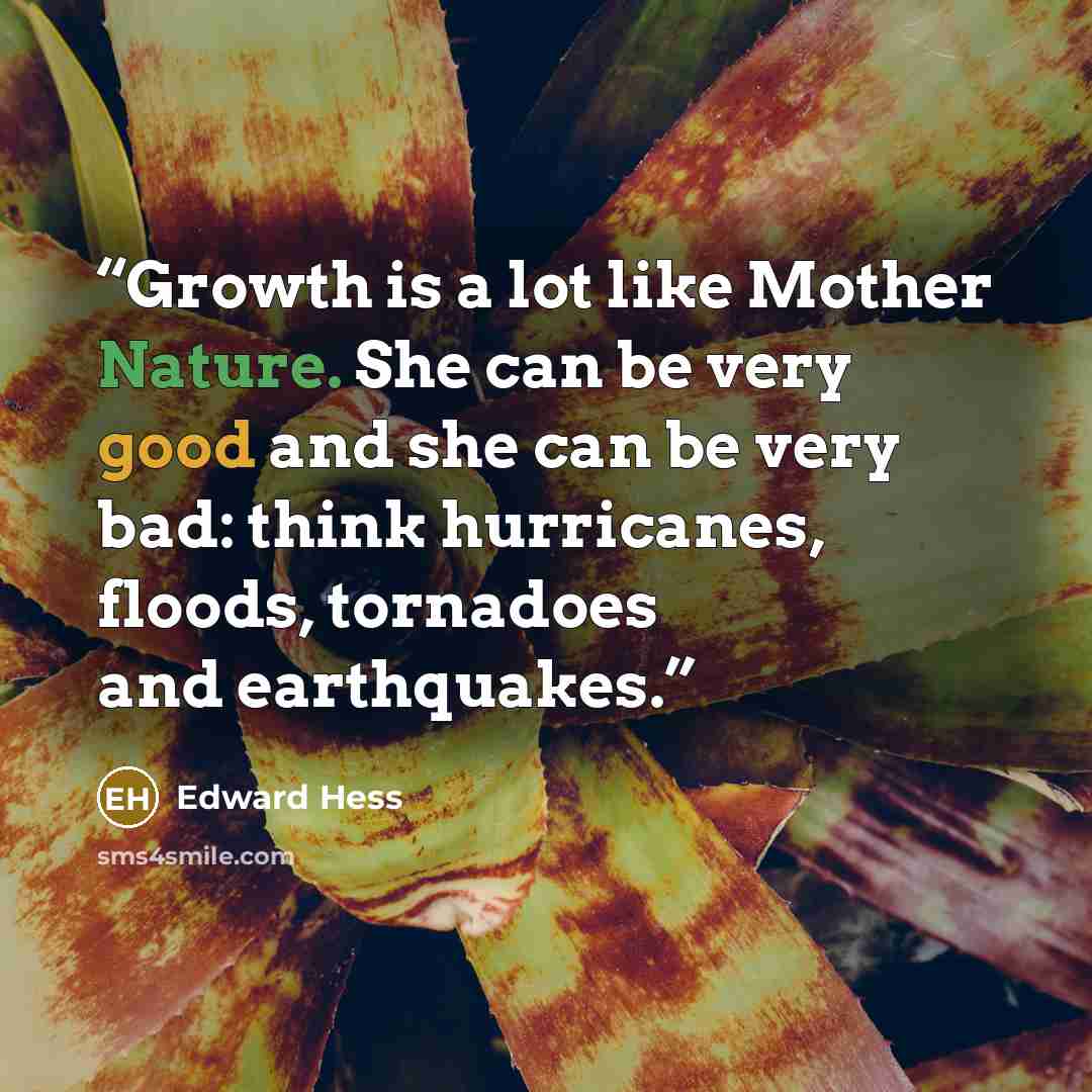 “Growth is a lot like Mother Nature. She can be very good and she can be very bad: think hurricanes, floods, tornadoes and earthquakes.” quote by Edward Hess