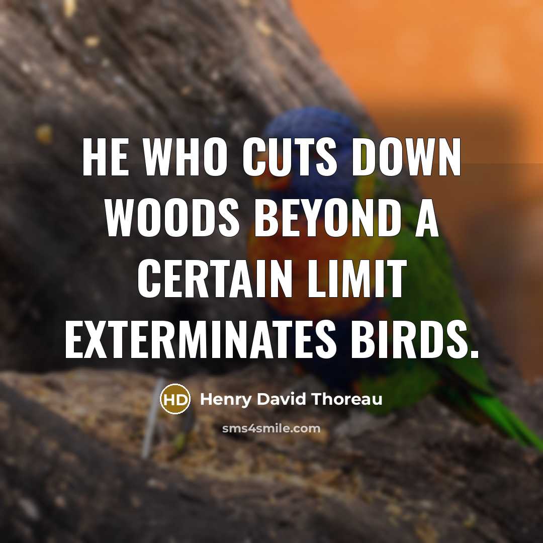 “He who cuts down woods beyond a certain limit exterminates birds.” quote by Henry David Thoreau