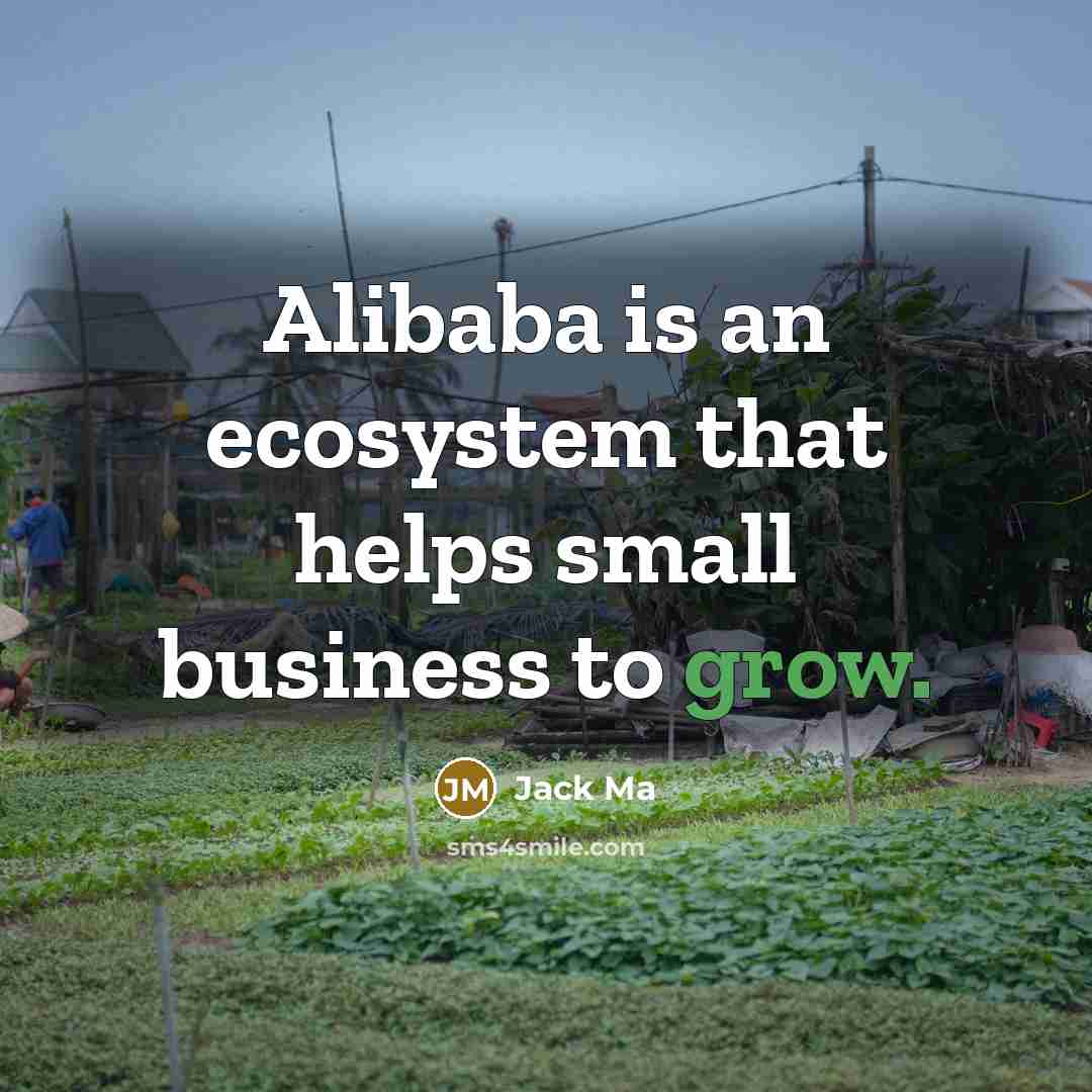 “Alibaba is an ecosystem that helps small business to grow.” quote by Jack Ma