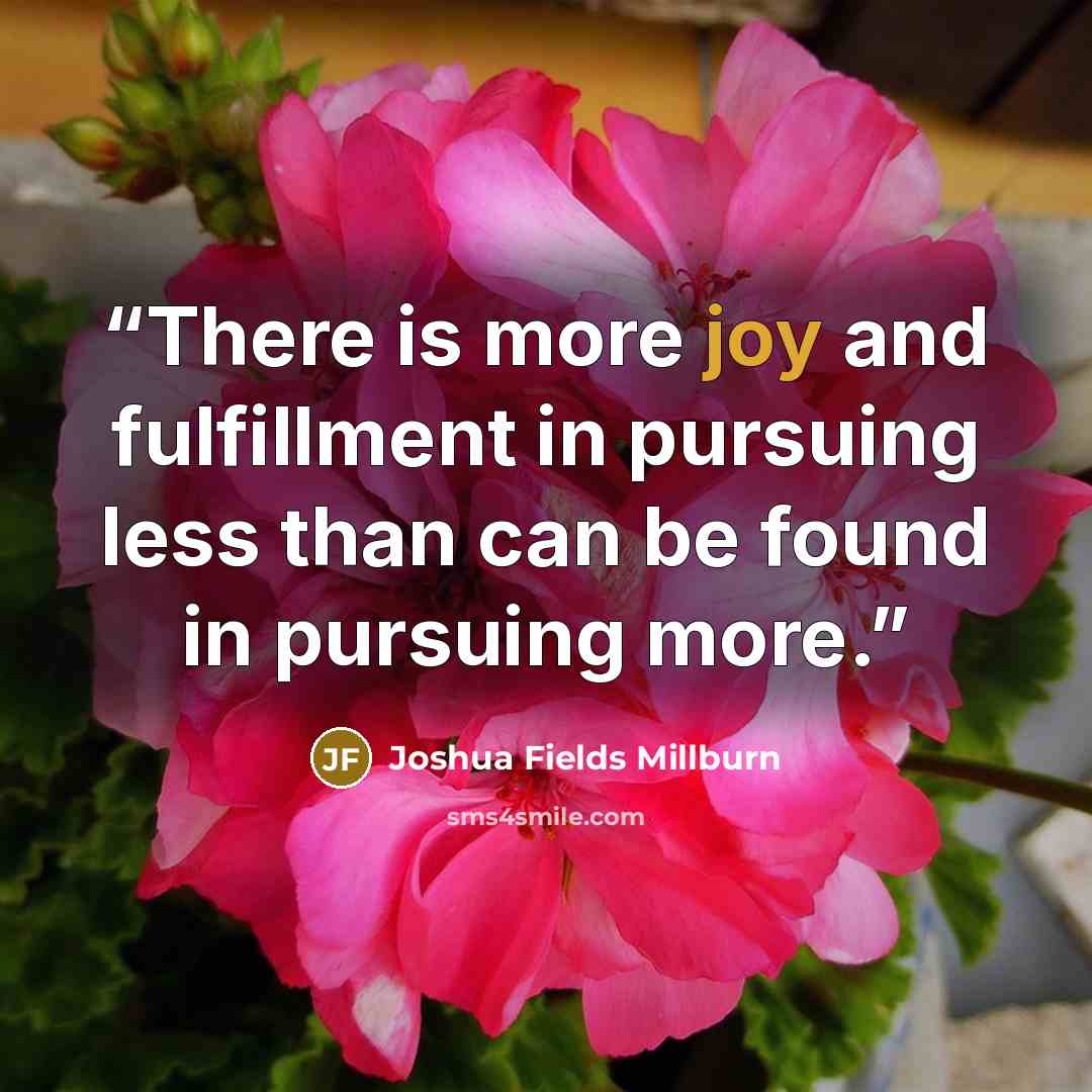 “There is more joy and fulfillment in pursuing less than can be found in pursuing more.” quote by Joshua Fields Millburn