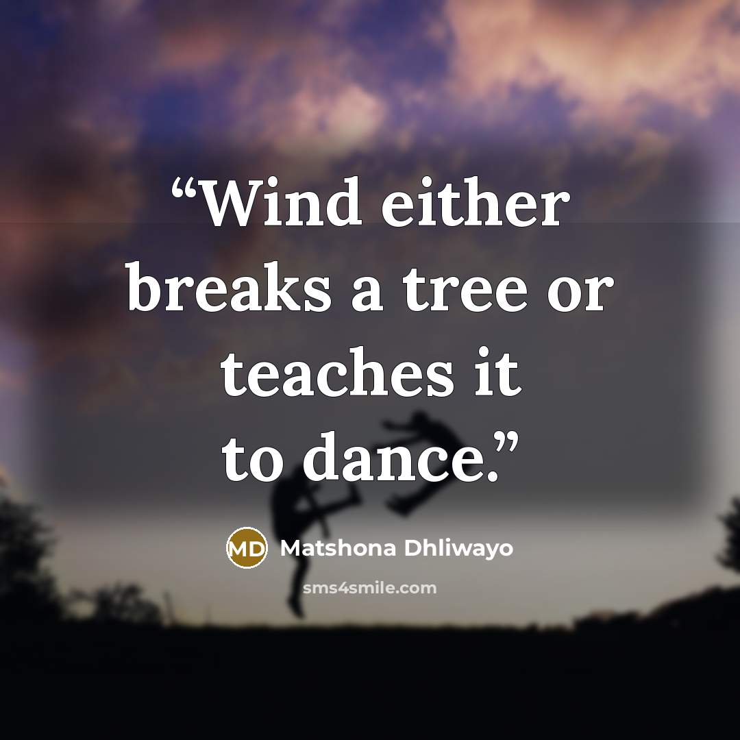 “Wind either breaks a tree or teaches it to dance.” quote by Matshona Dhliwayo