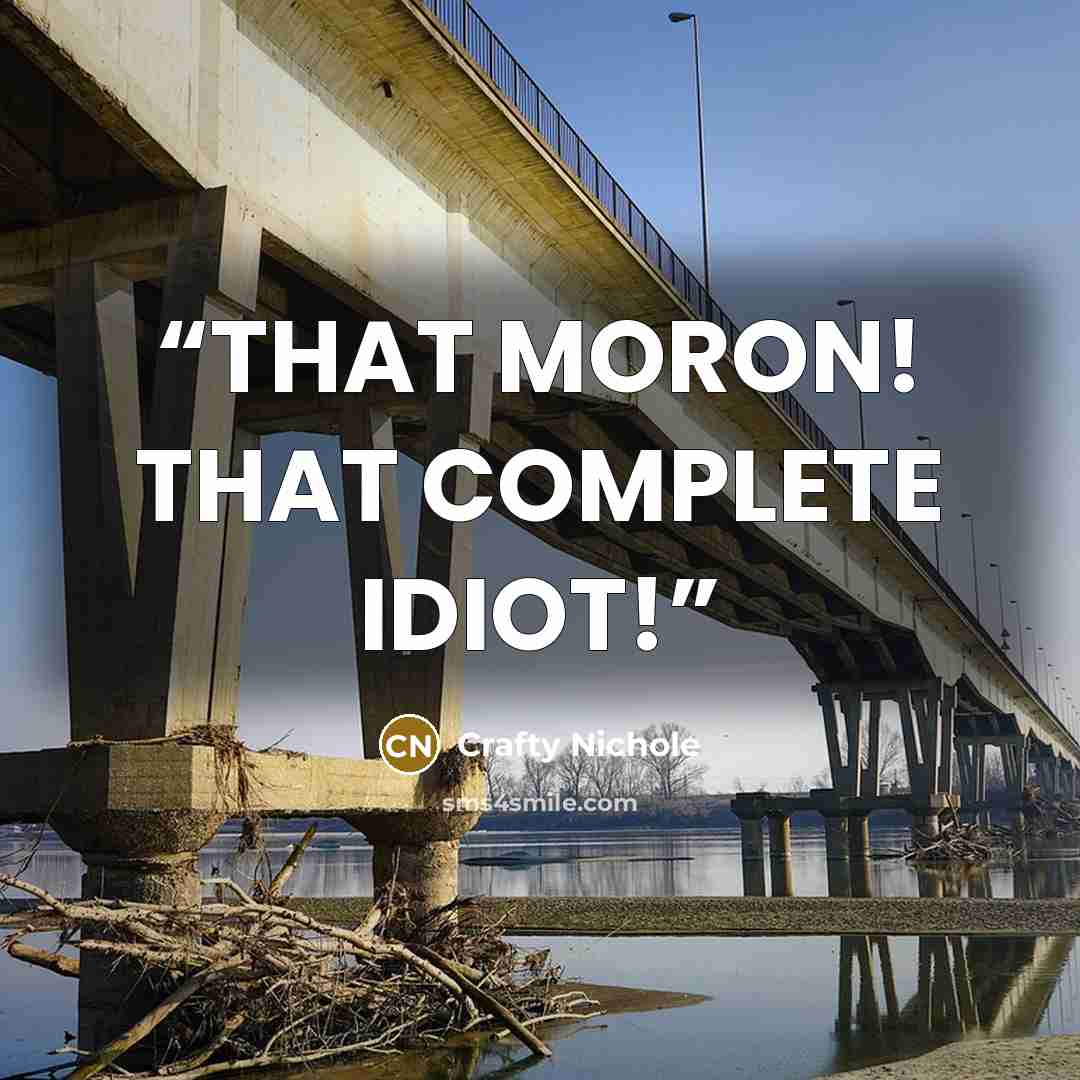 “THAT MORON! THAT COMPLETE IDIOT!” quote by Crafty Nichole