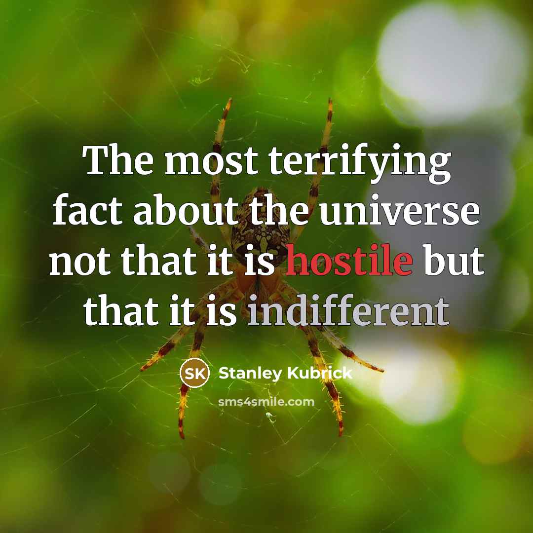 “The most terrifying fact about the universe not that it is hostile but that it is indifferent” quote by Stanley Kubrick