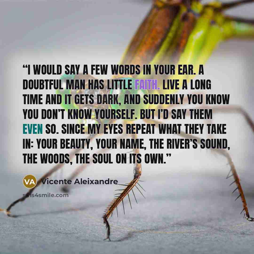 “I would say a few words in your ear. A doubtful man has little faith. Live a long time and it gets dark, and suddenly you know you don’t know yourself. But I’d say them even so. Since my eyes repeat what they take in: your beauty, your name, the river’s sound, the woods, the soul on its own.” quote by Vicente Aleixandre