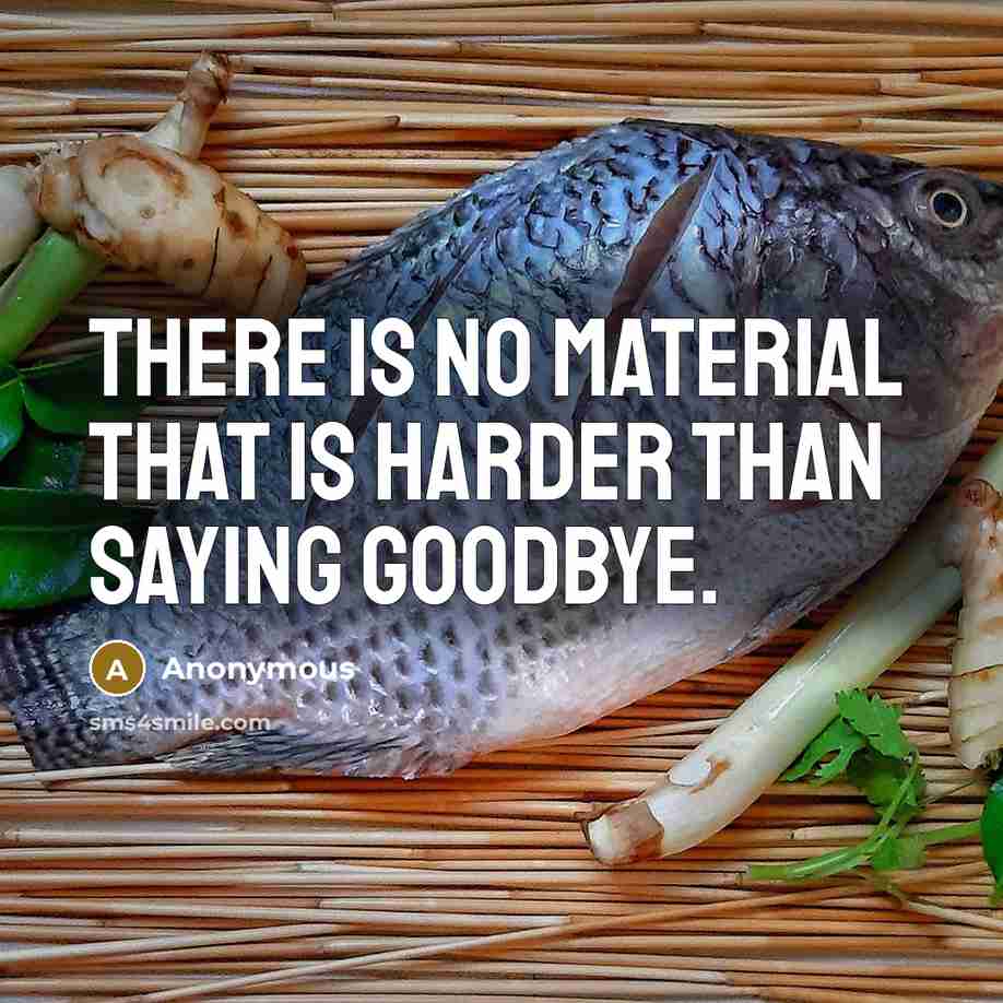 “There is no material that is harder than saying goodbye.” quote by Anonymous