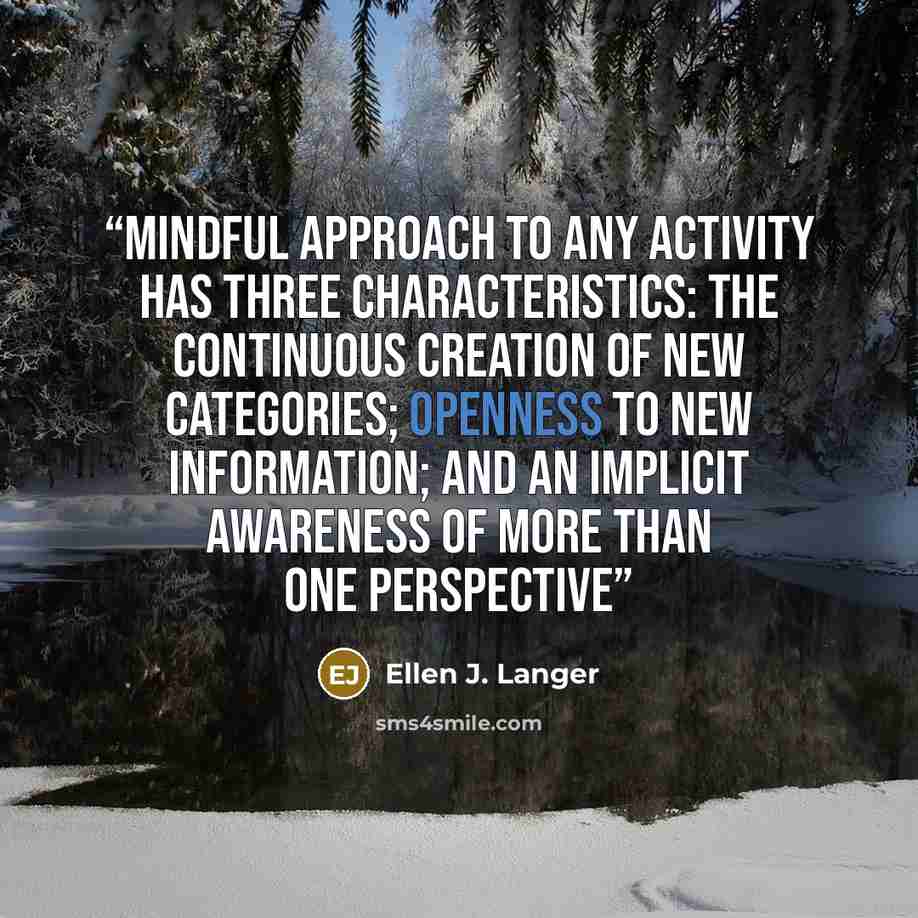 “mindful approach to any activity has three characteristics: the continuous creation of new categories; openness to new information; and an implicit awareness of more than one perspective” quote by Ellen J. Langer