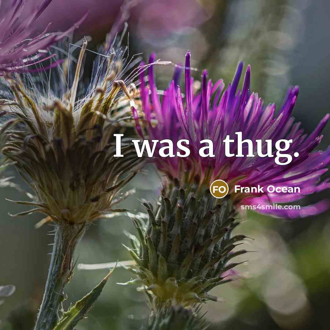 “I was a thug.” quote by Frank Ocean