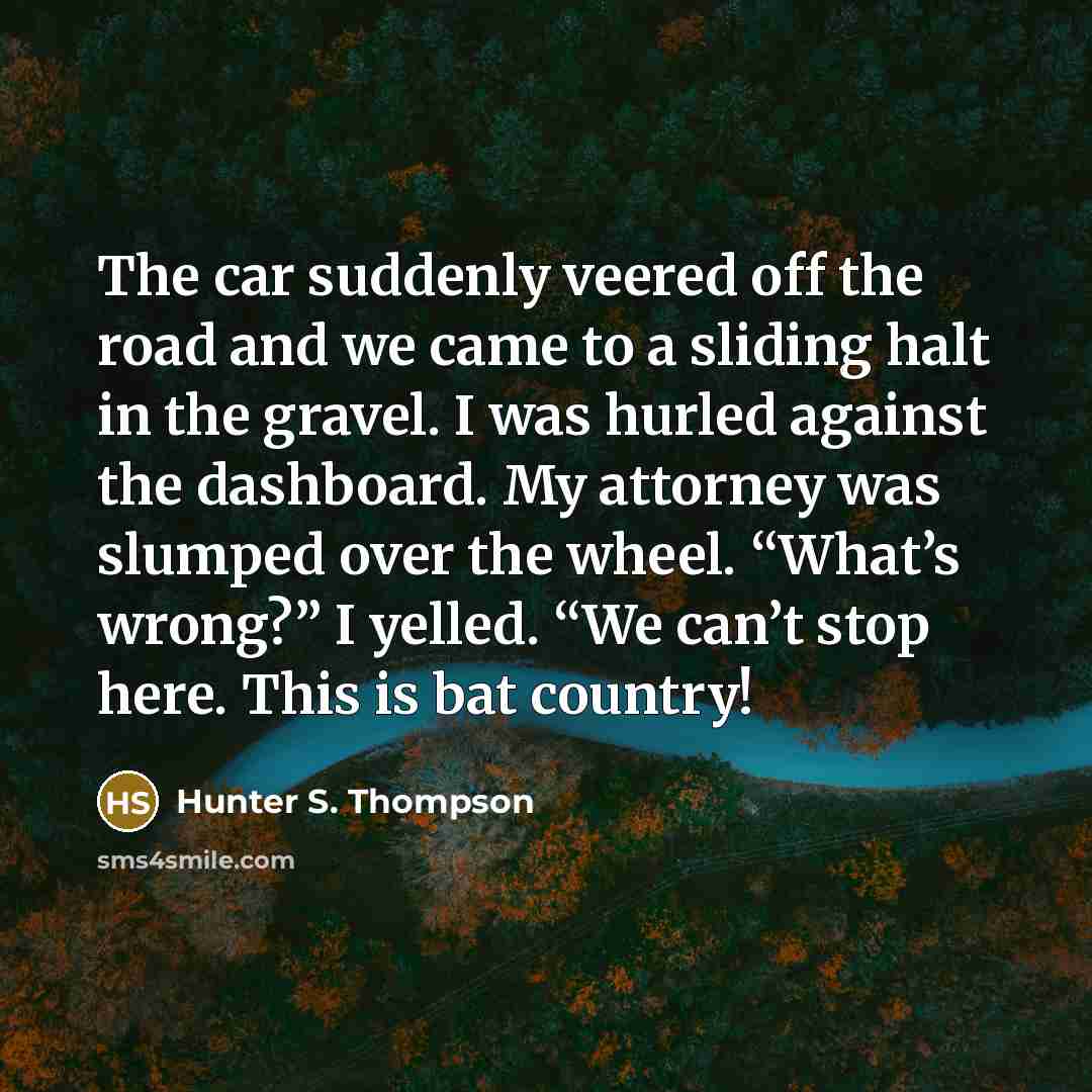 “The car suddenly veered off the road and we came to a sliding halt in the gravel. I was hurled against the dashboard. My attorney was slumped over the wheel. “What’s wrong?” I yelled. “We can’t stop here. This is bat country!” quote by Hunter S. Thompson