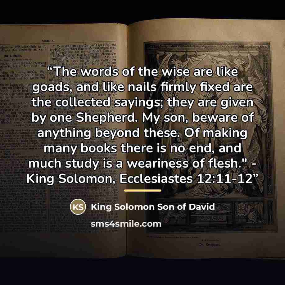 “The words of the wise are like goads, and like nails firmly fixed are the collected sayings; they are given by one Shepherd. My son, beware of anything beyond these. Of making many books there is no end, and much study is a weariness of flesh." - King Solomon, Ecclesiastes 12:11-12” quote by King Solomon Son of David