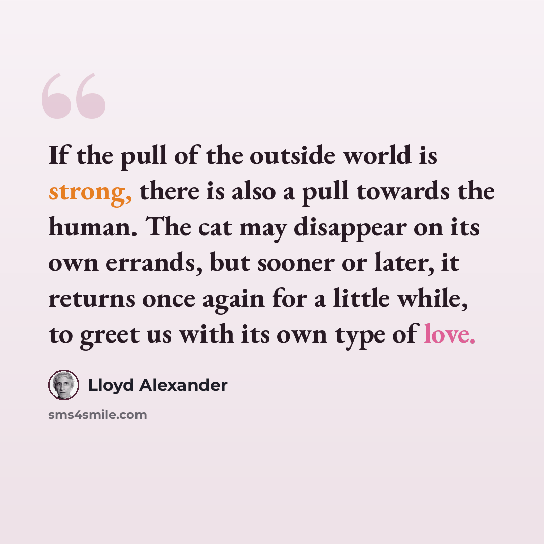 “If the pull of the outside world is strong, there is also a pull towards the human. The cat may disappear on its own errands, but sooner or later, it returns once again for a little while, to greet us with its own type of love.” quote by Lloyd Alexander