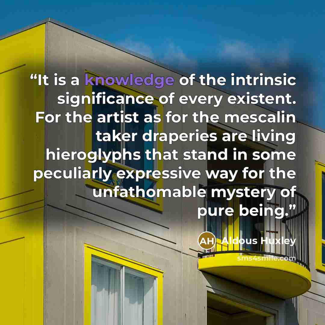 “It is a knowledge of the intrinsic significance of every existent. For the artist as for the mescalin taker draperies are living hieroglyphs that stand in some peculiarly expressive way for the unfathomable mystery of pure being.” quote by Aldous Huxley