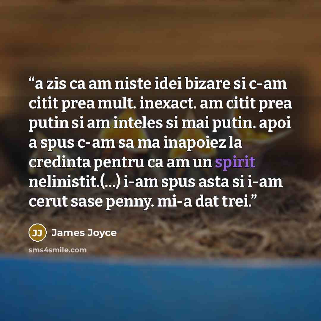 “a zis ca am niste idei bizare si c-am citit prea mult. inexact. am citit prea putin si am inteles si mai putin. apoi a spus c-am sa ma inapoiez la credinta pentru ca am un spirit nelinistit.(...) i-am spus asta si i-am cerut sase penny. mi-a dat trei.” quote by James Joyce