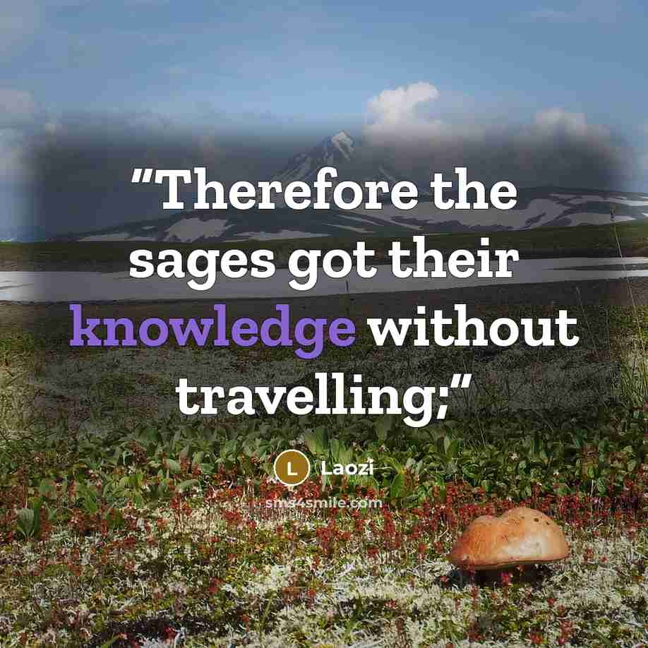 “Therefore the sages got their knowledge without travelling;” quote by Laozi