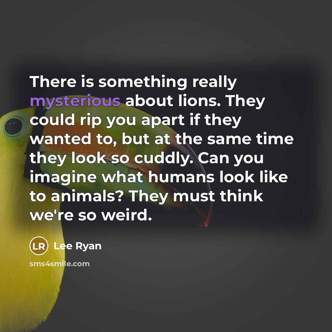 “There is something really mysterious about lions. They could rip you apart if they wanted to, but at the same time they look so cuddly. Can you imagine what humans look like to animals? They must think we're so weird.” quote by Lee Ryan
