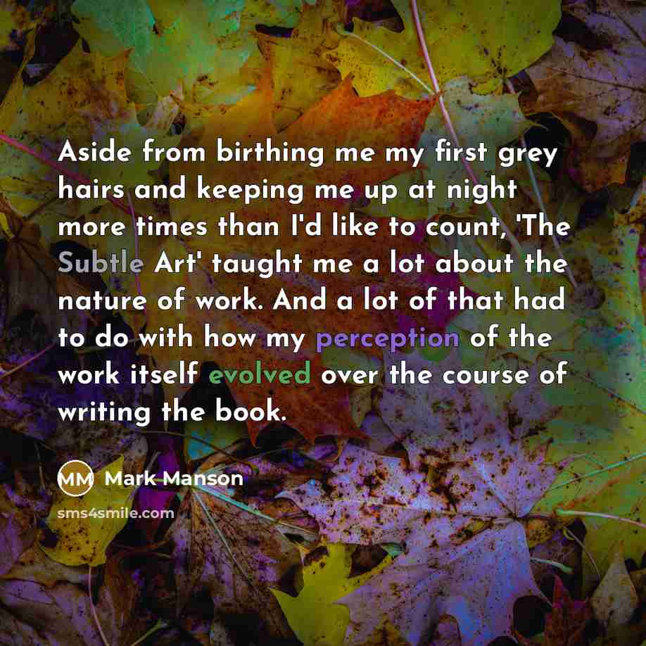 “Aside from birthing me my first grey hairs and keeping me up at night more times than I'd like to count, 'The Subtle Art' taught me a lot about the nature of work. And a lot of that had to do with how my perception of the work itself evolved over the course of writing the book.” quote by Mark Manson