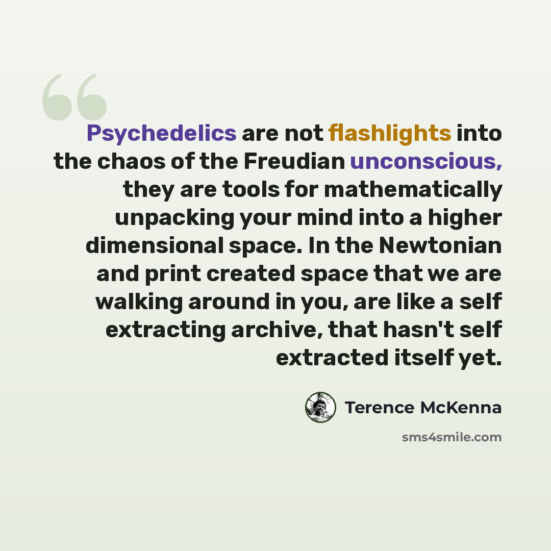“Psychedelics are not flashlights into the chaos of the Freudian unconscious, they are tools for mathematically unpacking your mind into a higher dimensional space. In the Newtonian and print created space that we are walking around in you, are like a self extracting archive, that hasn't self…” quote by Terence McKenna