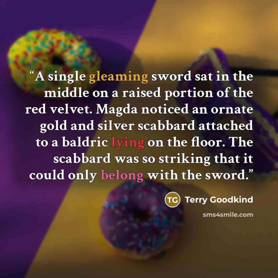 “A single gleaming sword sat in the middle on a raised portion of the red velvet. Magda noticed an ornate gold and silver scabbard attached to a baldric lying on the floor. The scabbard was so striking that it could only belong with the sword.” quote by Terry Goodkind