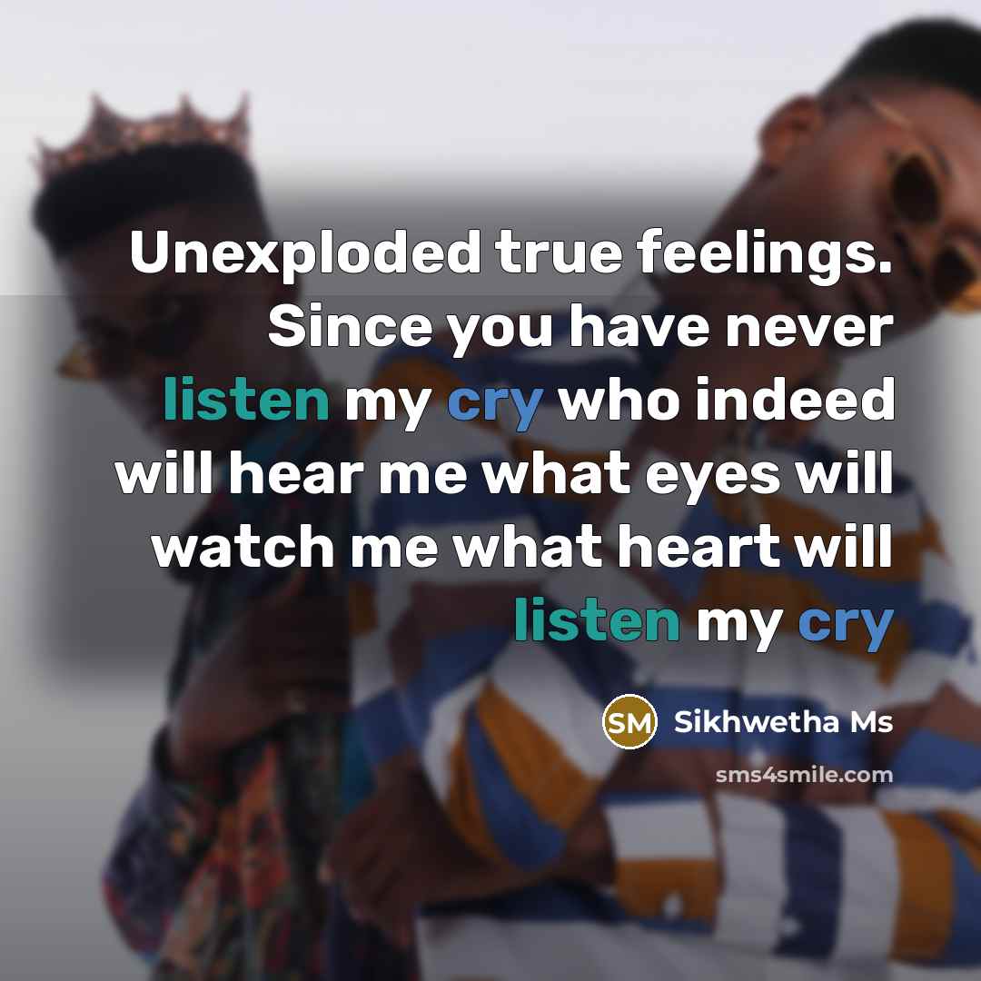 “Unexploded true feelings. Since you have never listen my cry who indeed will hear me what eyes will watch me what heart will listen my cry” quote by Sikhwetha Ms