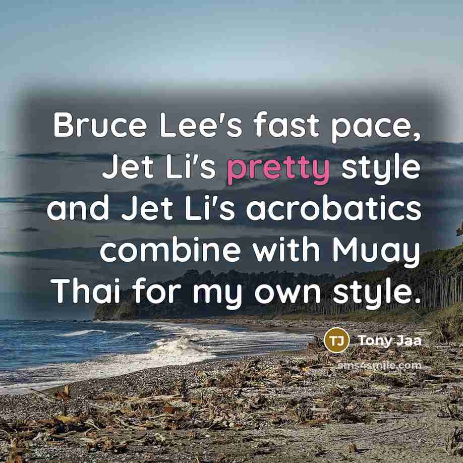 “Bruce Lee's fast pace, Jet Li's pretty style and Jet Li's acrobatics combine with Muay Thai for my own style.” quote by Tony Jaa