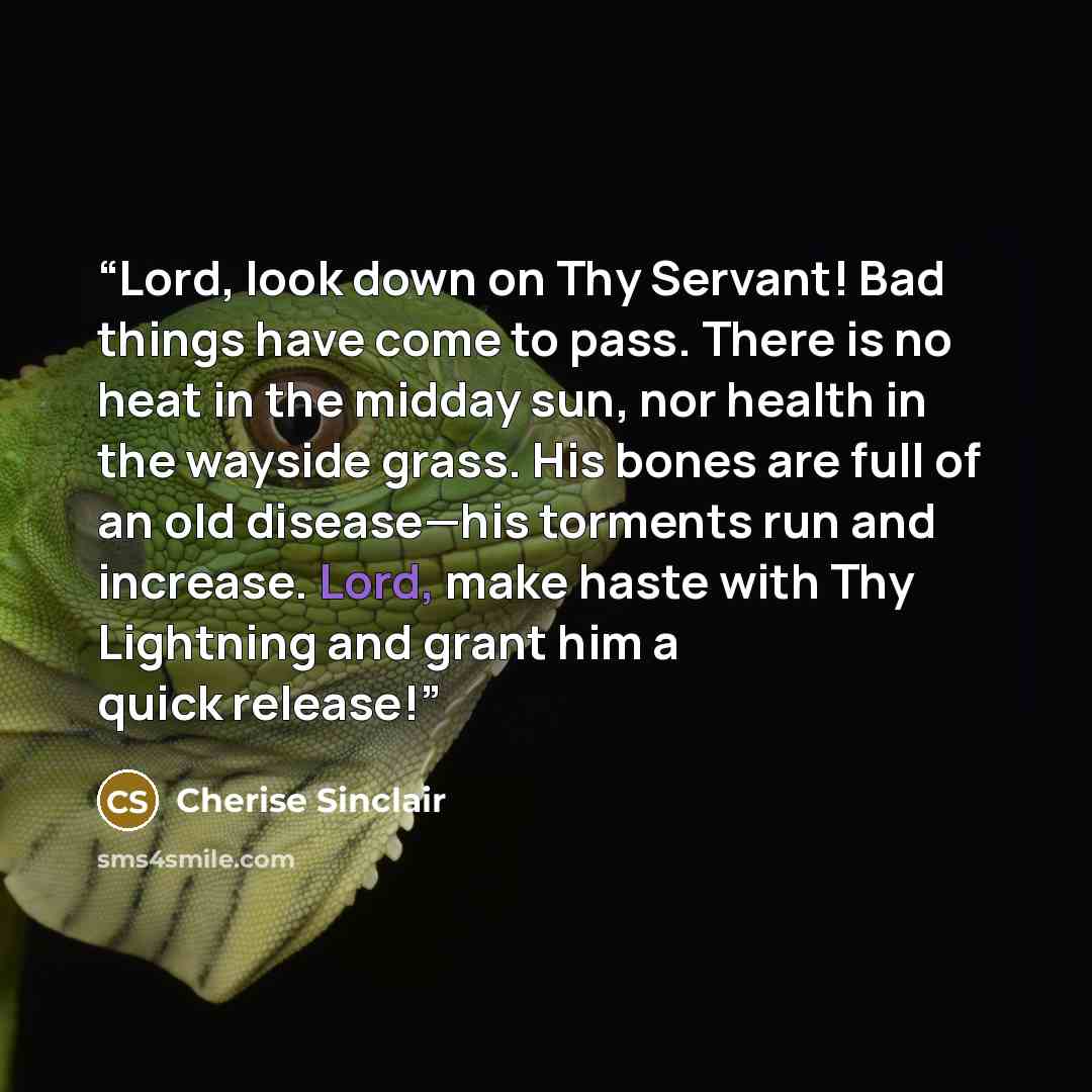 “Lord, look down on Thy Servant! Bad things have come to pass. There is no heat in the midday sun, nor health in the wayside grass. His bones are full of an old disease—his torments run and increase. Lord, make haste with Thy Lightning and grant him a quick release!” quote by Cherise Sinclair