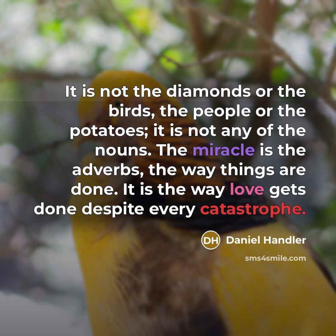 “It is not the diamonds or the birds, the people or the potatoes; it is not any of the nouns. The miracle is the adverbs, the way things are done. It is the way love gets done despite every catastrophe.” quote by Daniel Handler