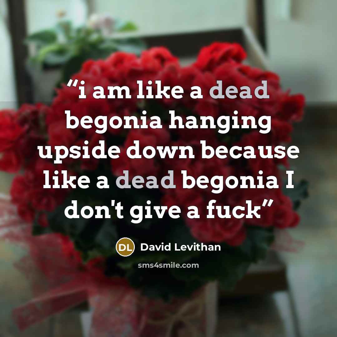“i am like a dead begonia hanging upside down because like a dead begonia I don't give a fuck” quote by David Levithan