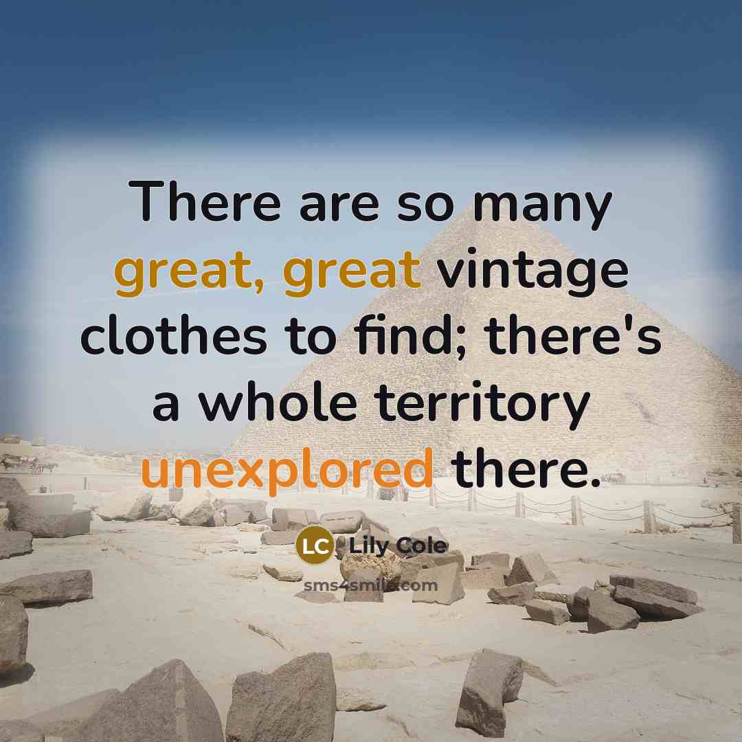 “There are so many great, great vintage clothes to find; there's a whole territory unexplored there.” quote by Lily Cole