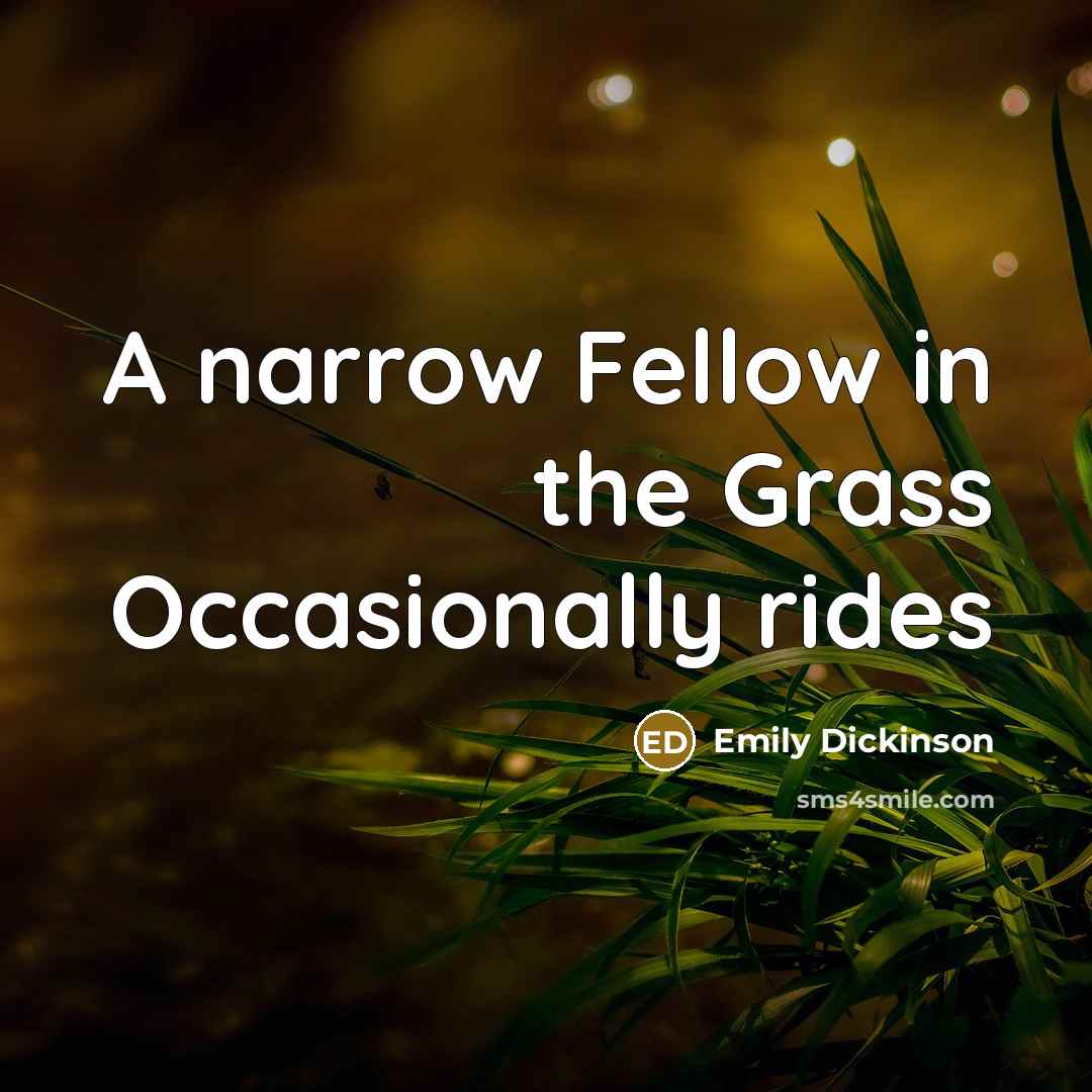 “A narrow Fellow in the Grass Occasionally rides” quote by Emily Dickinson