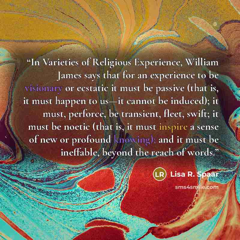 “In Varieties of Religious Experience, William James says that for an experience to be visionary or ecstatic it must be passive (that is, it must happen to us—it cannot be induced); it must, perforce, be transient, fleet, swift; it must be noetic (that is, it must inspire a sense of new or profound…” quote by Lisa R. Spaar