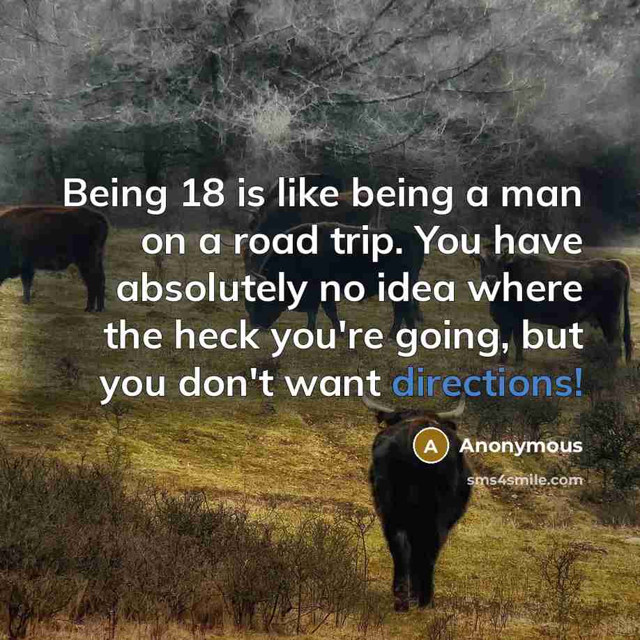 “Being 18 is like being a man on a road trip. You have absolutely no idea where the heck you're going, but you don't want directions!” quote by Anonymous