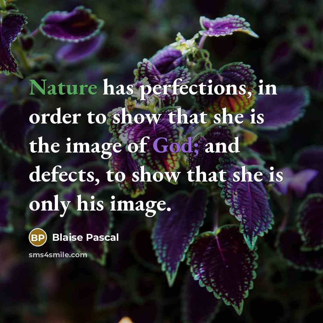 “Nature has perfections, in order to show that she is the image of God; and defects, to show that she is only his image.” quote by Blaise Pascal