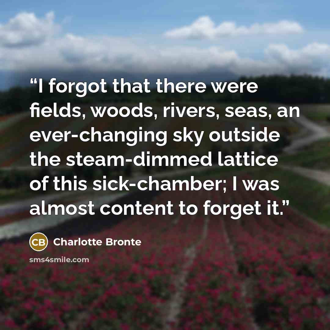“I forgot that there were fields, woods, rivers, seas, an ever-changing sky outside the steam-dimmed lattice of this sick-chamber; I was almost content to forget it.” quote by Charlotte Brontë